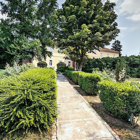 Misefa Kastely Bed & Breakfast Dış mekan fotoğraf