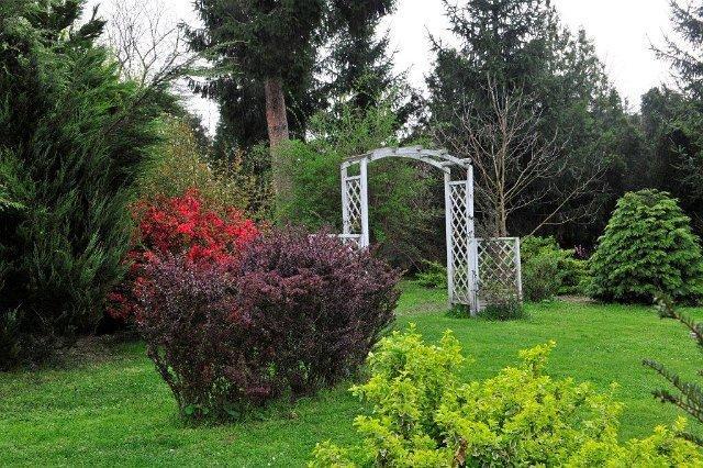 Misefa Kastely Bed & Breakfast Dış mekan fotoğraf